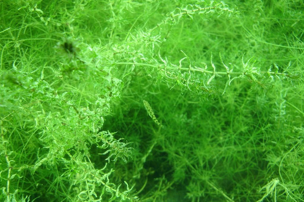 2008-07-27 08-29-58.JPG